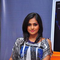 Remya Nambeesan at salamath press meet - Pictures | Picture 105659